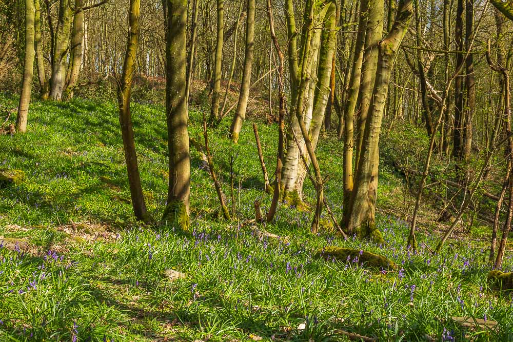Crich Chase Crich Chase